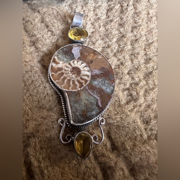 Amazing custom made Ammonite Fossil Jewelry Set with Citrine Accents - Picture 2 of 7